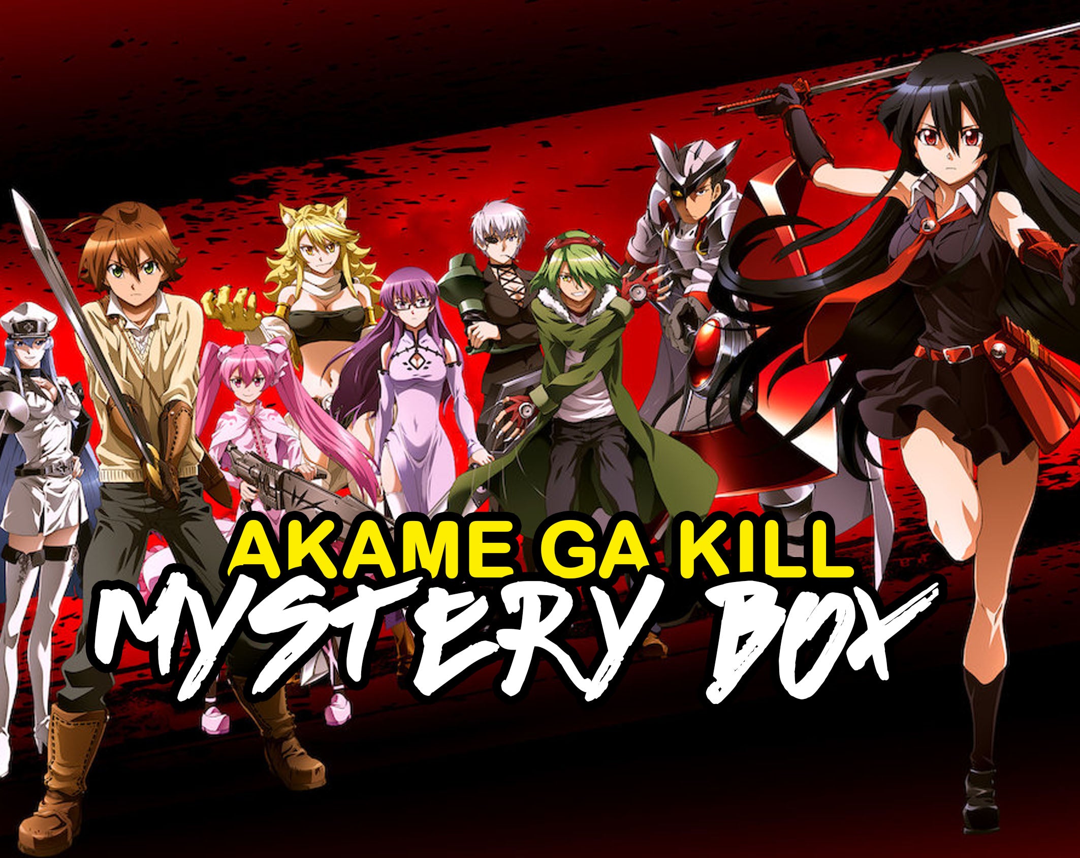 Akame Ga Kill Anime Mystery Box | Anime Mystery Box | Fast Shipping (L -  CosplayFTW