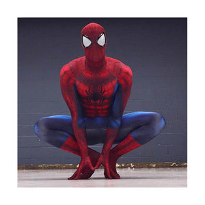 Marvel Classic Spider-Man Deluxe Costume